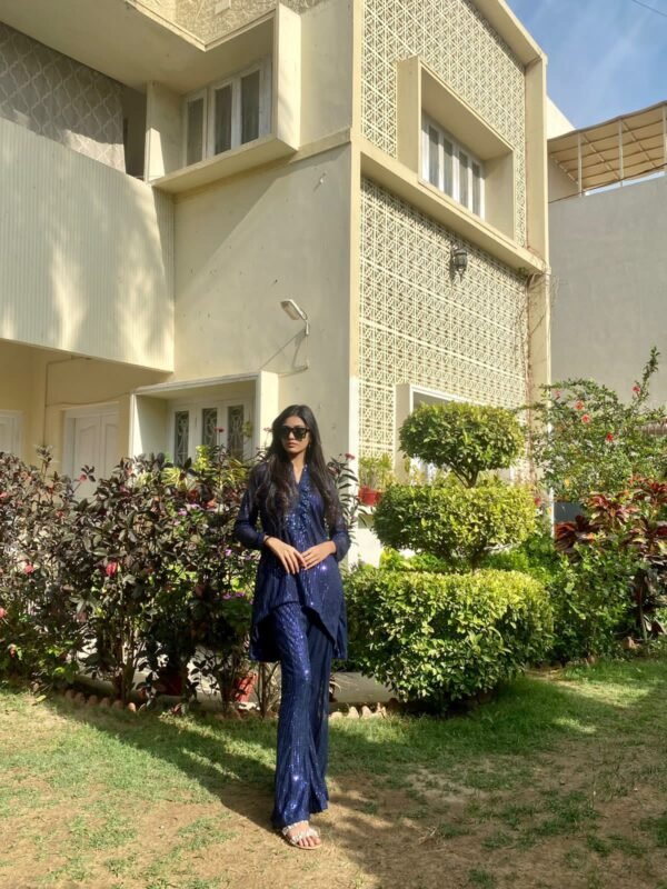 Kelaya in Blue - Co-Ord Set - The Chic Edit - Image 3