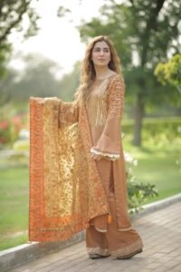 Dahlia 1 semi-formals for women, sequin silk kameez, chocolate brown, eastern wear